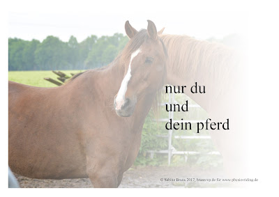 Nur du und dein Pferd …