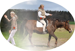 Körperdrehung und Gewichtsverlagerung auf dem Pferd